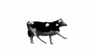 Polish Cow Full Song [upl. by Adnana39]