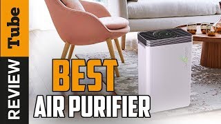 ✅ Air Purifier Best Air Purifiers Buying Guide [upl. by Heady]