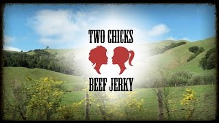 Two Chicks Beef Jerky Review  Its Delicious [upl. by Namialus]