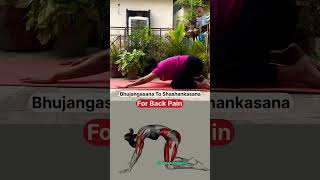 Bhujangasana To Shashankasana For Back Pain yoga yogaforbackpain [upl. by Lletniuq]