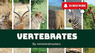 Vertebrates UnveiledAnimals with BackbonesFun learning video for kids [upl. by Nnail547]