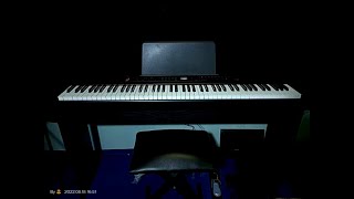 Artesia PE88 88 Key Deluxe Digital Piano unboxing and test play bajaao ArtesiaProNorthAmerica artesia [upl. by Jae317]