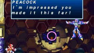 Mega Man X4 Zero  Cyber Peacock No Damage [upl. by Cired]