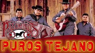 Los Palominos Mega Mix  Tejano Music  Norteños Mix 2023 [upl. by Merilyn]