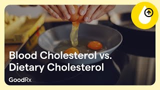 Doctor Decoded Dietary vs Blood Cholesterol  GoodRx [upl. by Turino922]