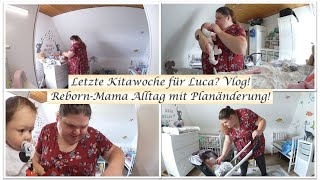 Letzte Kitawoche für Luca  Planänderung  Vlog  Reborn Baby Deutsch  Little Reborn Nursery [upl. by Omrelliug903]