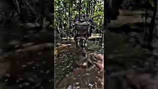 King 👑 Cobra 🐍 Commandos trening military status commandolife ytshort you video shortvideo [upl. by Ikkim]