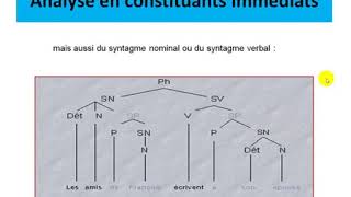 Cours La représentation arborescente  Morphosyntaxe [upl. by Akcimehs]