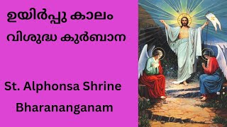 SyroMalabar Holy Qurbana Fr Antony Thonakkara 0530 AM  08042024 [upl. by Esirtal]