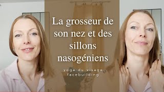 Comment diminuer la grosseur de son nez et des sillons nasogéniens  Yoga du Visage  Facebuilding [upl. by Orat]