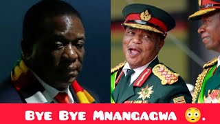 President Mnangagwa Forced To Resign 😳 [upl. by Nohsyar]