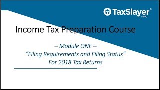 Filing Status and Filing Requirements for Tax Returns [upl. by Favian338]