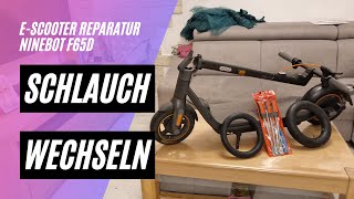 🛴 EScooter Schlauch wechseln 🔧 beim Ninebot F65D 48V 12AH 400W [upl. by Ytok]