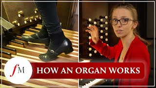 How does a pipe organ actually work  Anna Lapwood  Classic FM [upl. by Yllime509]