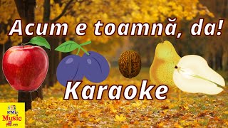 Acum e toamna da Karaoke Negativ SMic Music [upl. by Digirb702]