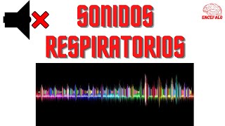 🎶 Sonidos Respiratorios Normales y Anormales ☤ Crepitantes Sibilantes Roncus Estridor etc 🎓 [upl. by Miyasawa]