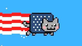 AmericNYAN Cat [upl. by Ennoved]