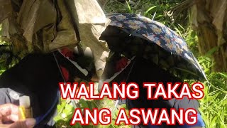 ANG KATAPUSAN NG ASWANG NA MAY KAPANGYARIHANG APAKAN ANG IYONG ANINO [upl. by Emelun]