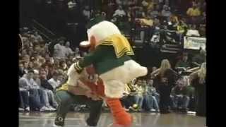 Oregon Ducks Mascot Highlight [upl. by Teece]