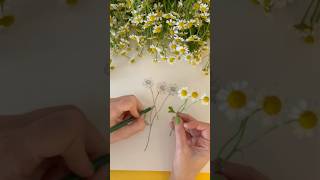 Draw Chamomile Flowers With Me howtodraw [upl. by Kenleigh508]