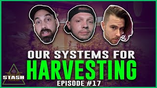 Our Steps For Harvesting Plants  From the Stash Podcast Ep 17 [upl. by Booma]