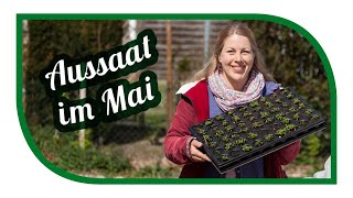 Gemüseanbau und Aussaaten im Mai  Tipps zum säen und pflanzen von dem Gärtner  Garten im Frühjahr [upl. by Pollyanna]