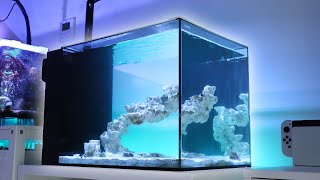 Waterbox Peninsula Mini 25 Update Adding Snails Crabs and Copepods amp DIY Tank Lid [upl. by Kin]