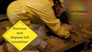 Removal and disposal of Loft Insulation  Victorian Insulation Loft Boarding Specialist [upl. by Jethro]