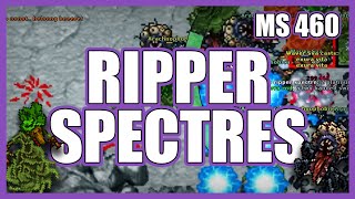 Ripper Spectres SOLO MS 460  52kk RAW amp 800900k Profit [upl. by Auoh129]