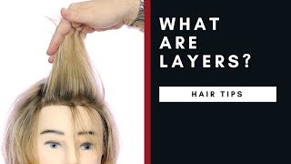 What Are Layers in Hair  TheSalonGuy [upl. by Ardnuhsed]