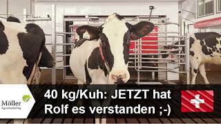 Rolf melkt 40 kg Kuh am Lely Melkroboter und hat es JETZT richtig verstanden Lely [upl. by Oicnecserc]