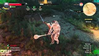 The Witcher 3 PS4 playthrough pt157  ManoaMano wImlerith Epic Boss Fight Time [upl. by Eerehs]