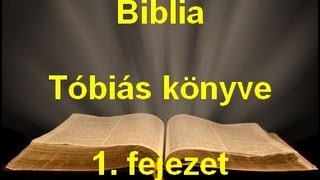 A Biblia  Tóbiás könyve 1 fejezet [upl. by Enilesoj826]