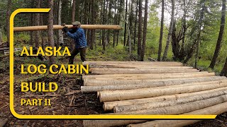 Building my DIY Alaska Off Grid Cabin in the forest ASMR [upl. by Eadas]