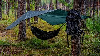 The Truth About Hammock Camping [upl. by Sherilyn]