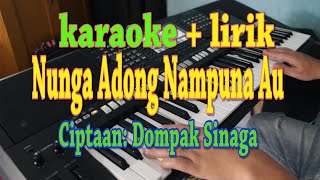 NUNGA ADONG NAMPUNA AU KARAOKE LAGU BATAK NABASA TRIO [upl. by Akenor]