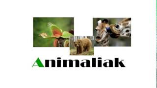 Animaliak [upl. by Ynamad]