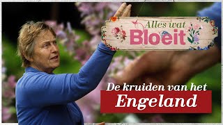 Marrys Kruidentuin en kruidenwijsheid  Alles Wat Bloeit [upl. by Garv63]