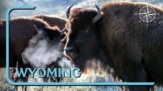 Wild Wyoming People amp the Great Outdoors  myDOCS travel [upl. by Avin]