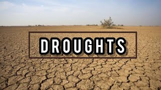 Droughts  Causes And Effects Of Droughts  Drought For Kids [upl. by Cristiona874]