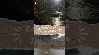 Rain in the farm  Sanctity ferme  Bangalore organic farming youtubeshorts tourism hospitality [upl. by Jaquelyn]