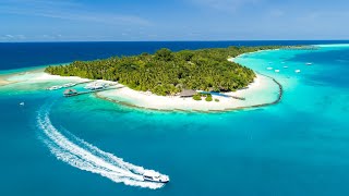 Kuramathi Maldives 2019 Updated [upl. by Ekaj899]