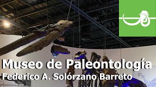 Visitando el MUSEO DE PALEONTOLOGIA Federico A Solórzeno Barreto Guadalajara Jal México [upl. by Arrad]