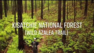 Kisatchie National Forest Wild Azalea Trail [upl. by Naleek]