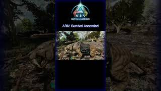 Dont Look For Trouble  ARK Survival Ascended ARKShorts [upl. by Aseretairam282]