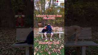 Labrador Lesson Share the Trail dog getmoving traildog wisewords [upl. by Ellard]