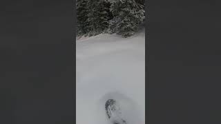 Nice little jump into 2ft of powder feels great to play in powder again powderski powderday [upl. by Kikelia]