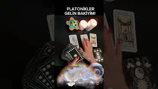 PLATONİKLER GELİN BAKIYIM 1k tarot tarotacilimi açılım tarotreading frekans tarotcards tarot [upl. by Codd]