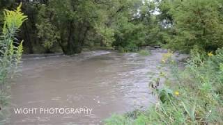 Kinnikinnick Creek Flooding in Roscoe Illinois  September 2 2018 [upl. by Kassi744]