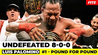 Explosive Knockouts and Unmatched Dominance The Rise of Luis Palomino in BKFC poundforpound [upl. by Gnoix412]